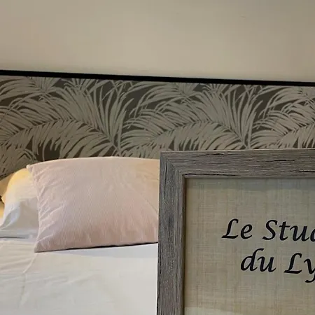 Apartamento L'Entre-Temps, Le Lys Et L Iris Saint-Aignan  Exterior foto