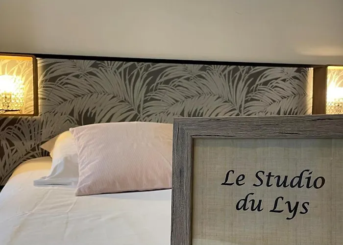 L\'Entre-Temps, Le Lys Et L Iris